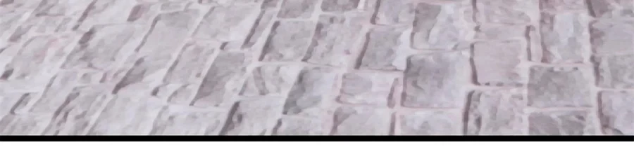 Página 269