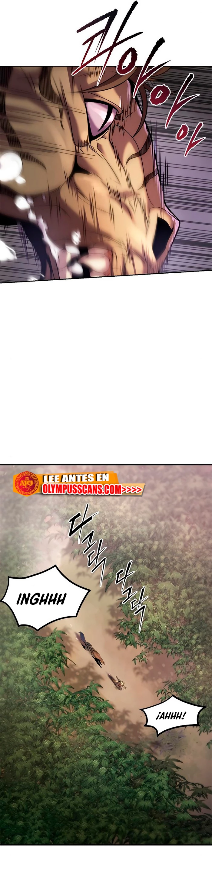 Página 51