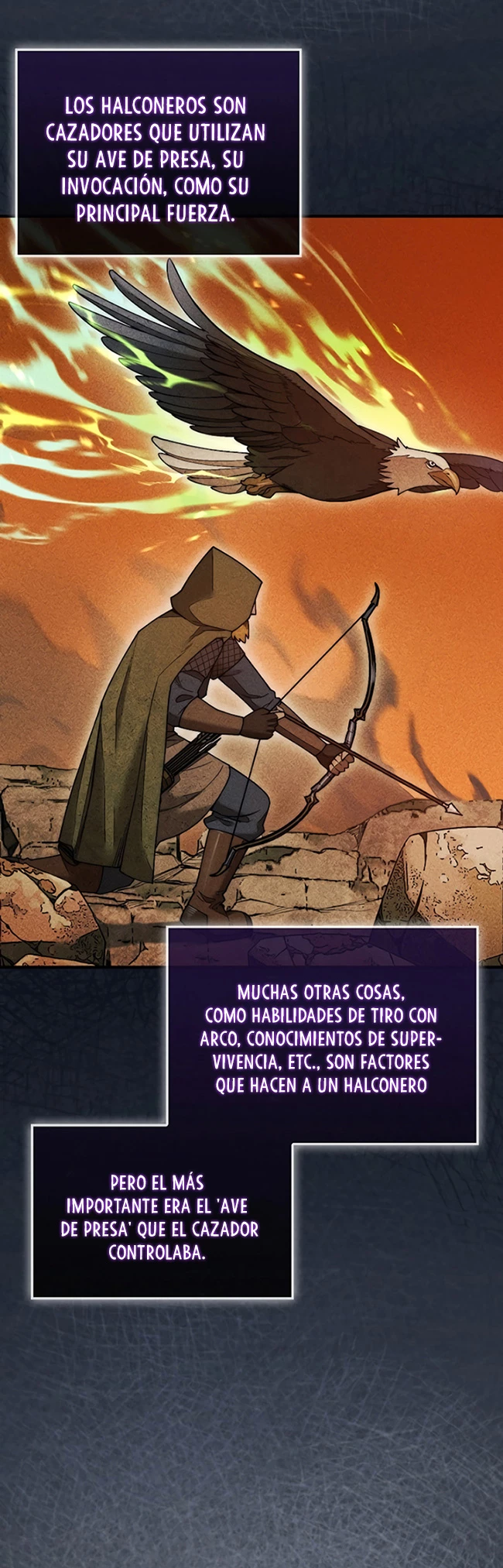 Página 46