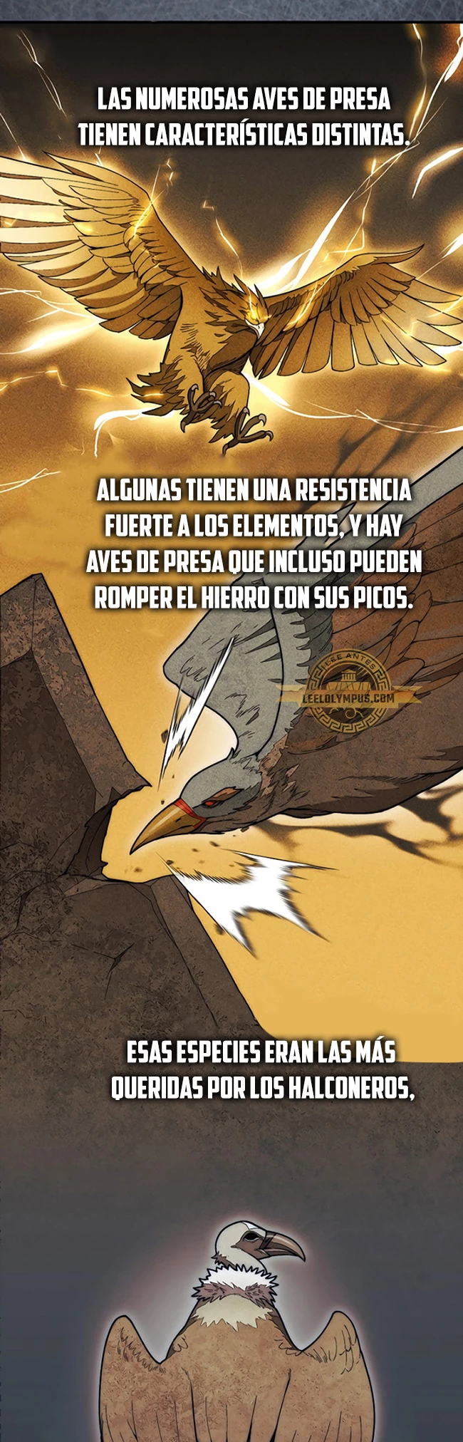 Página 47