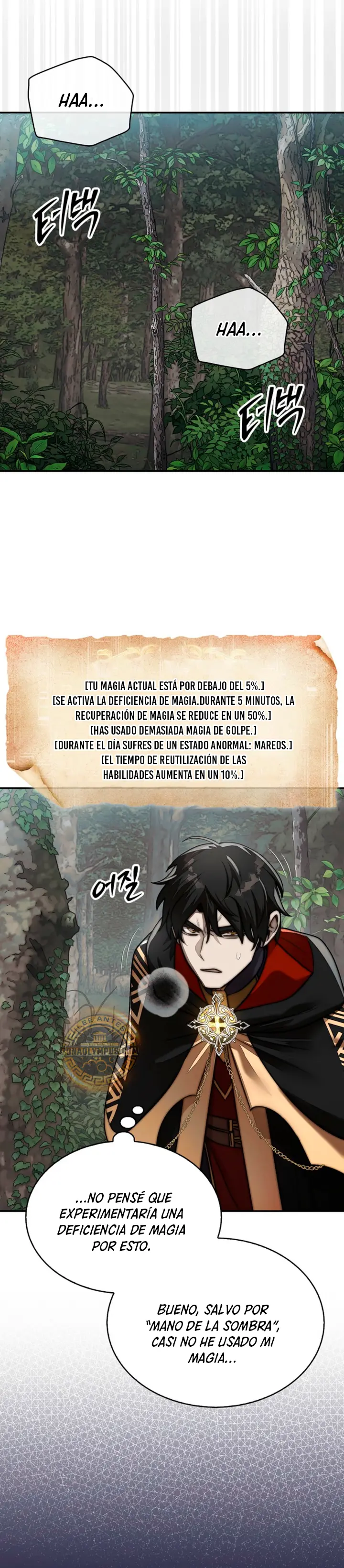 Página 31