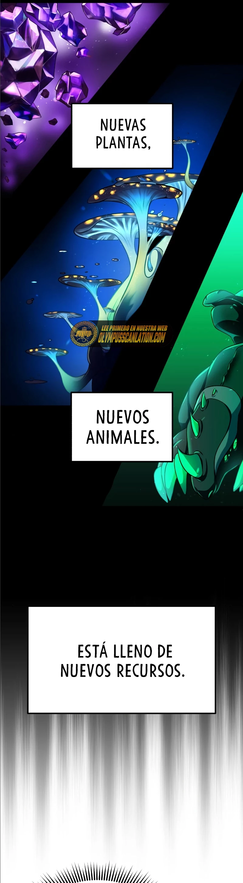 Página 55