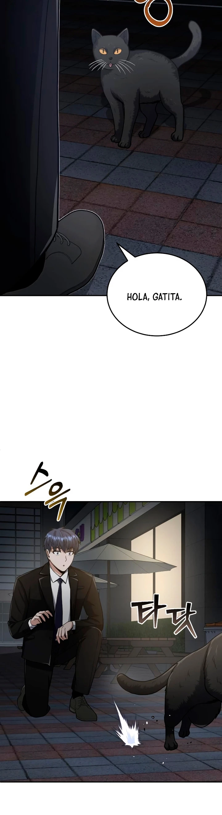 Página 49
