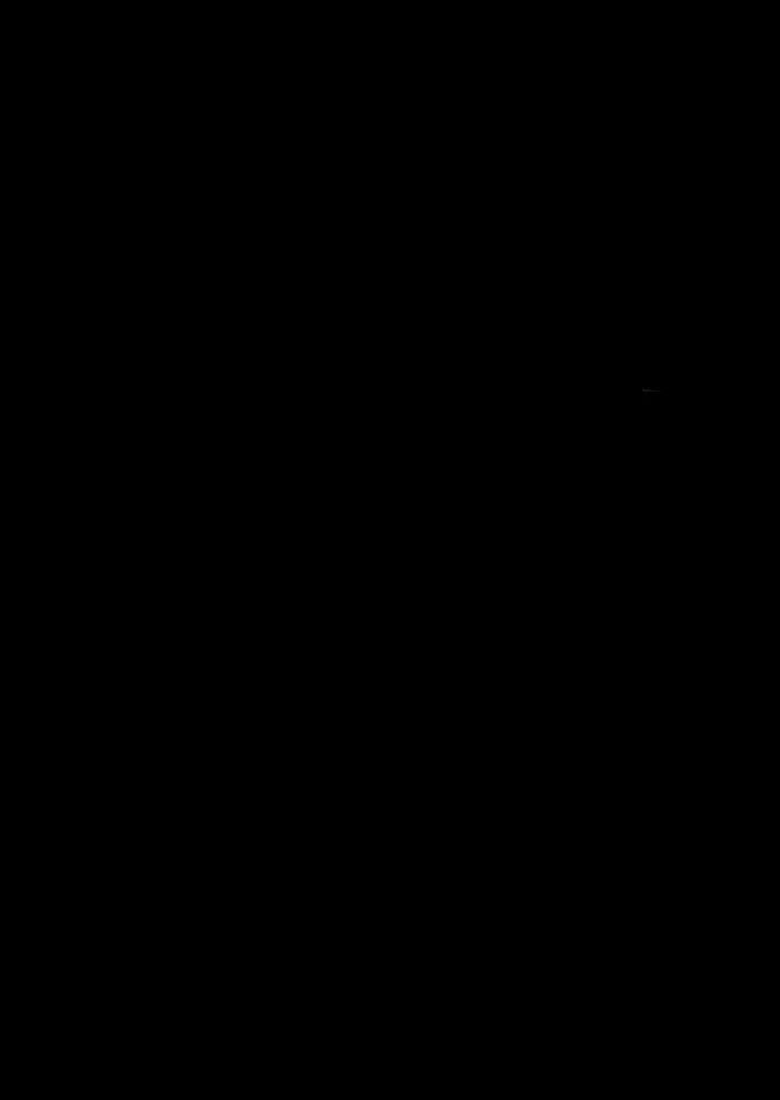 Página 46