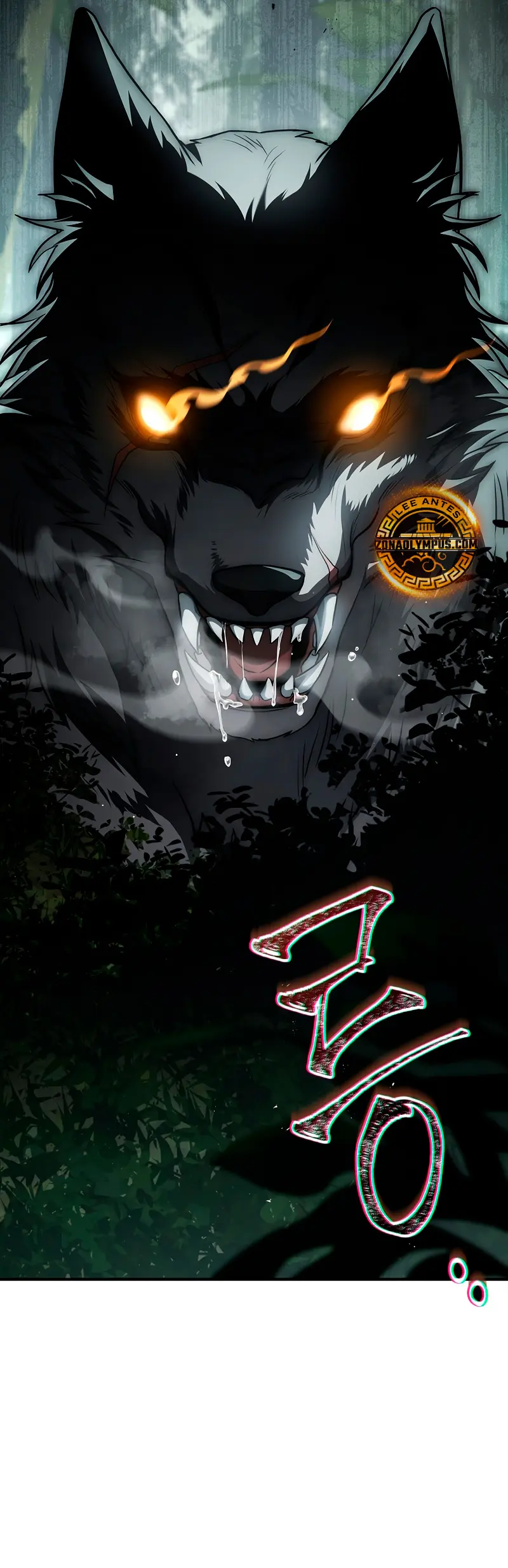 Página 37