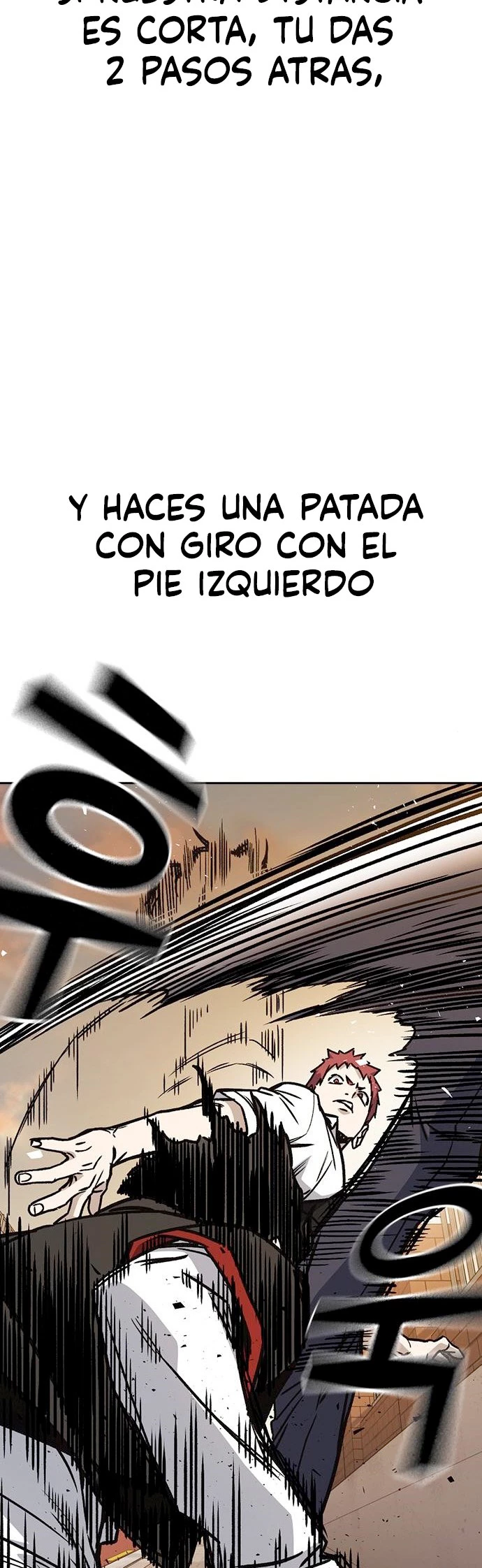 Página 26