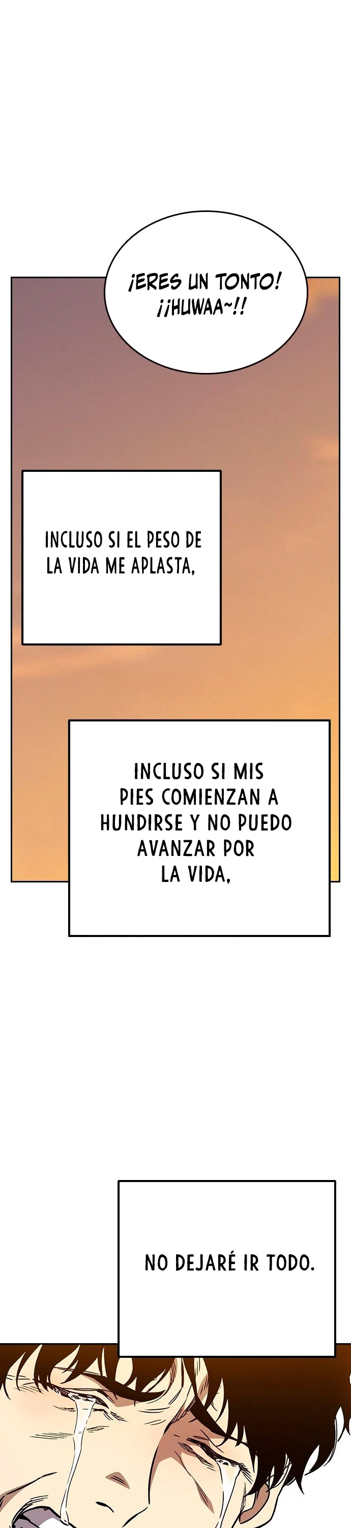 Página 46