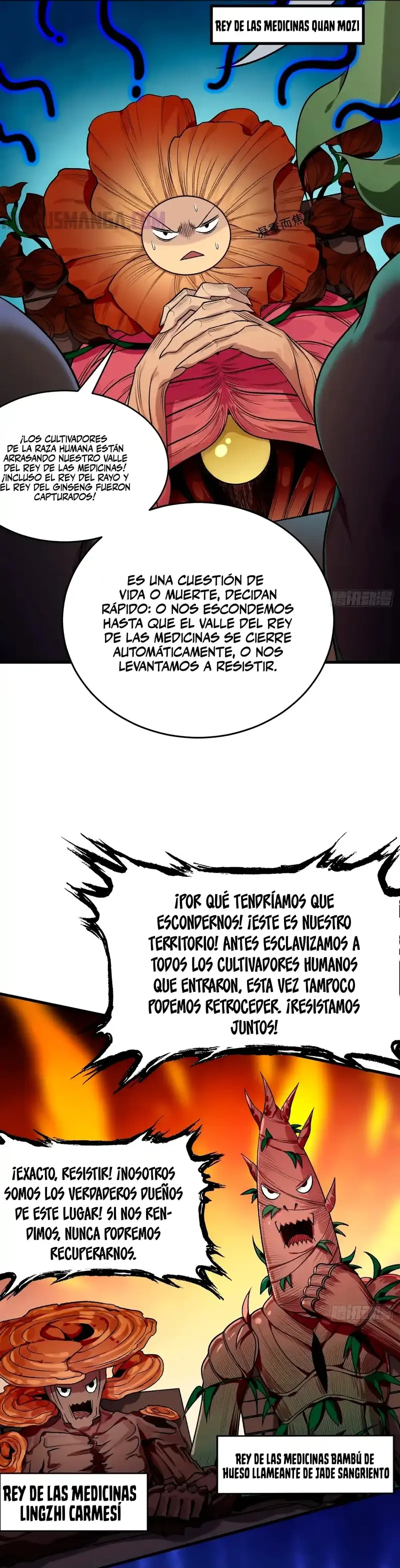 Página 2