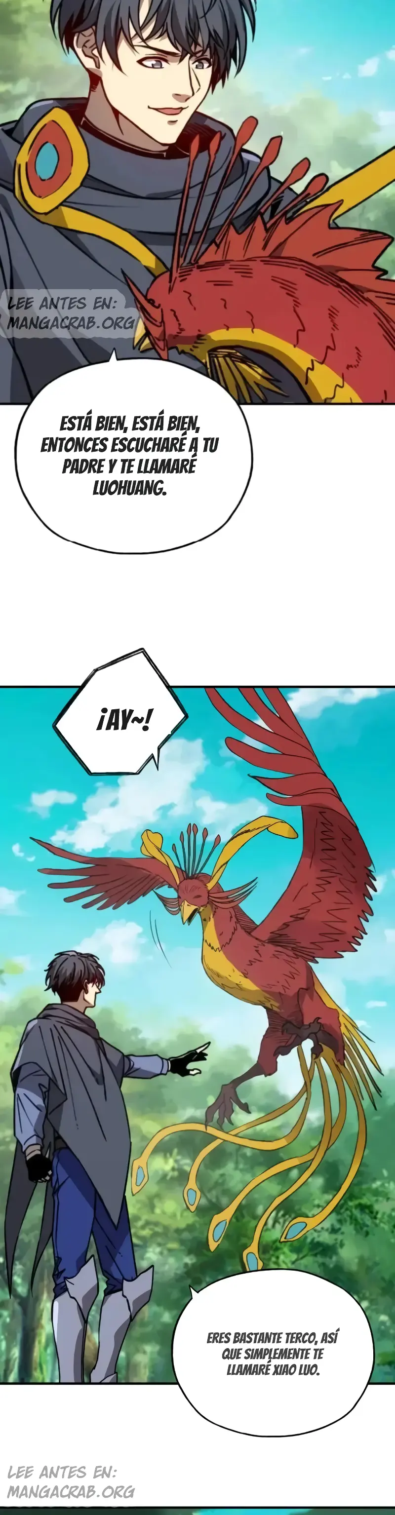 Página 11