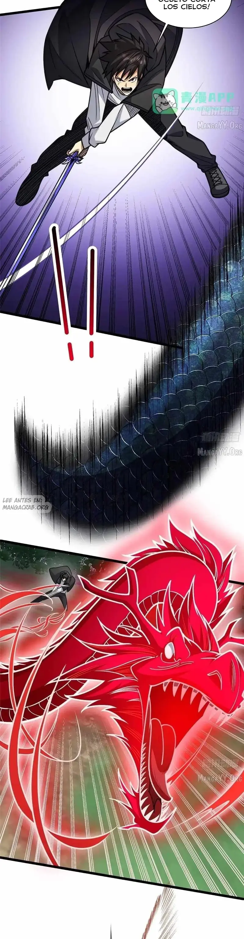 Página 4