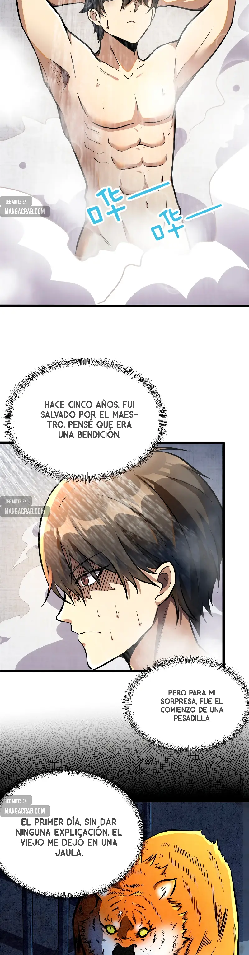 Página 8