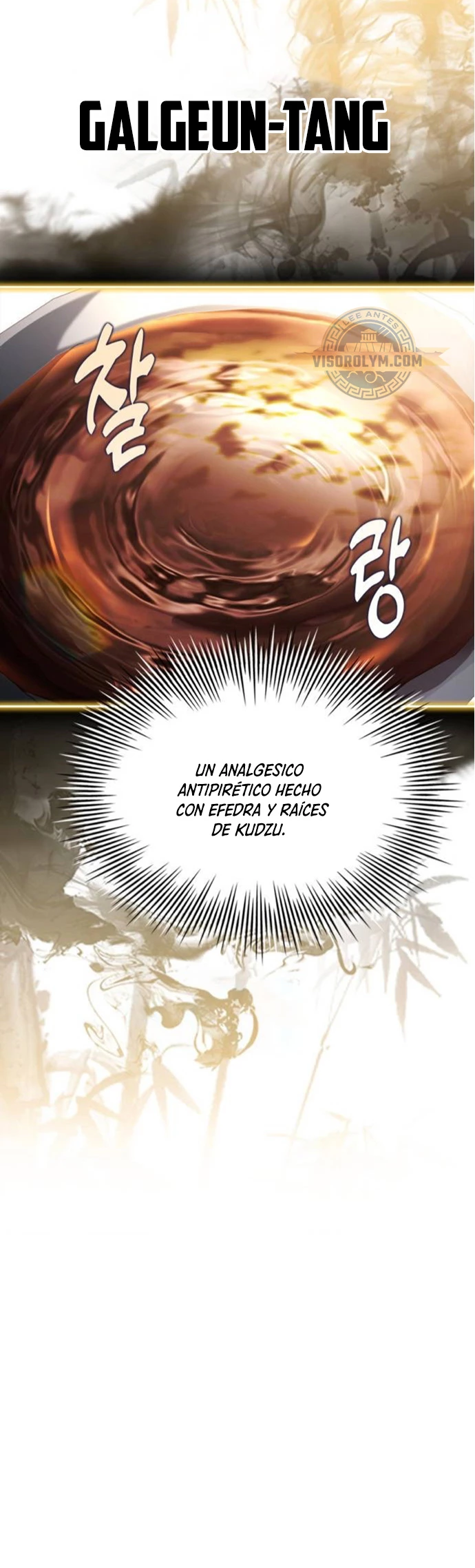 Página 25