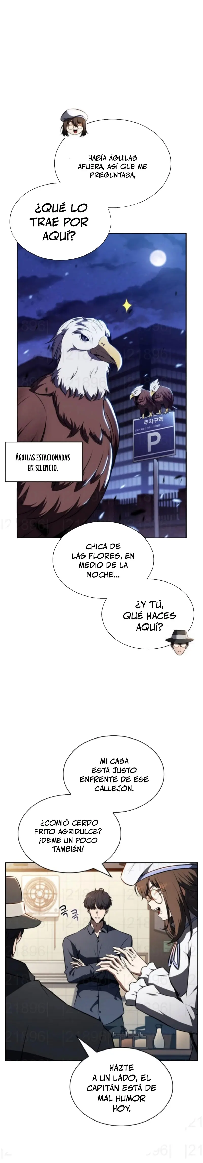 Página 17