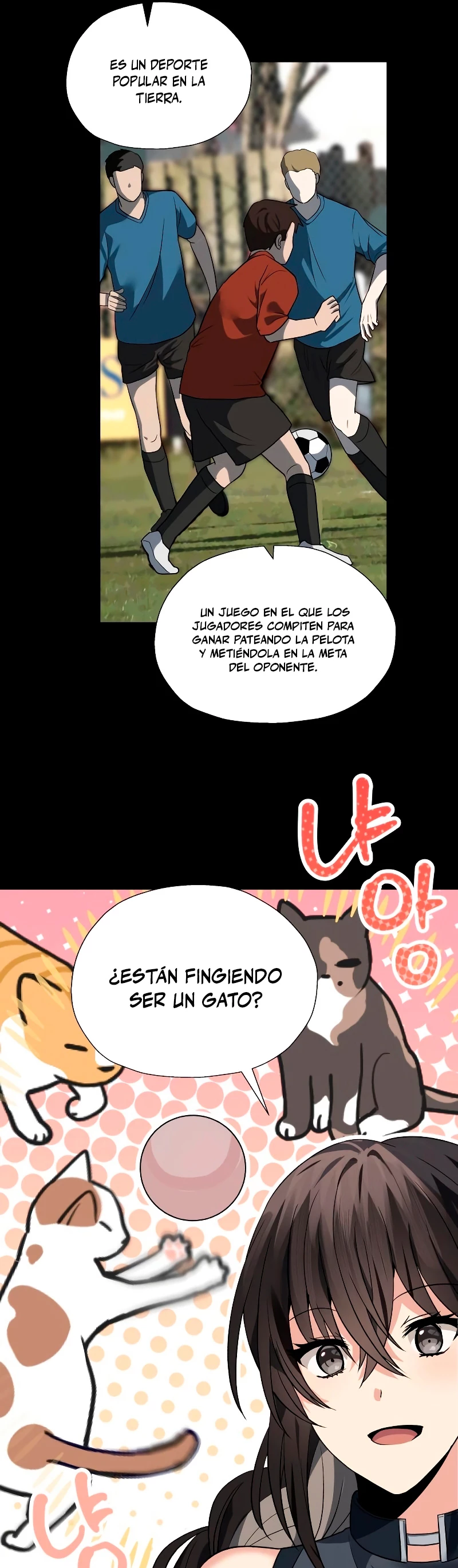 Página 22