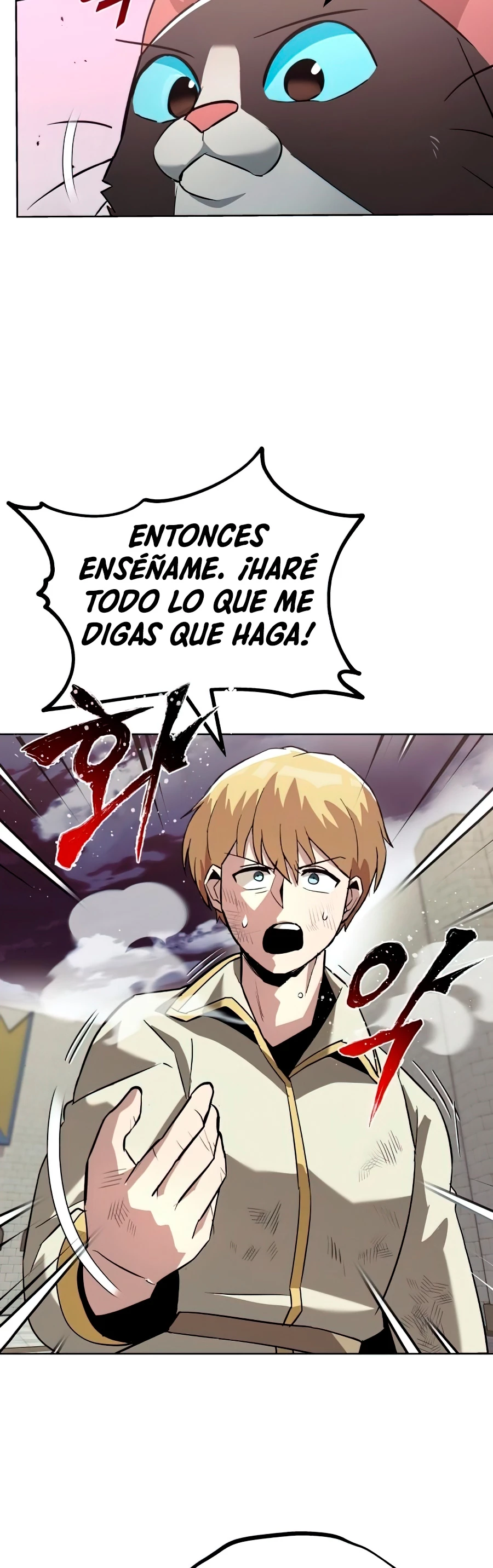 Página 46