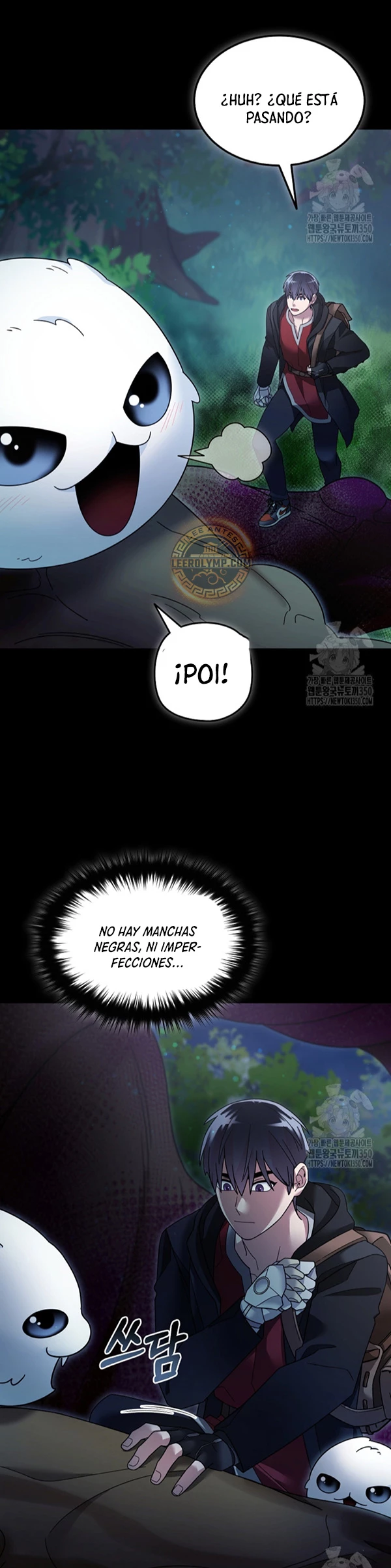 Página 31
