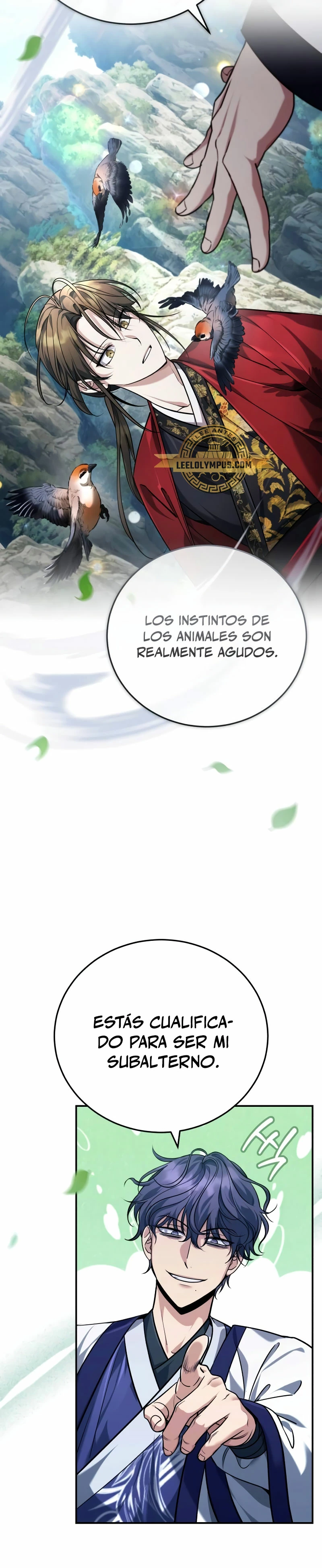 Página 17