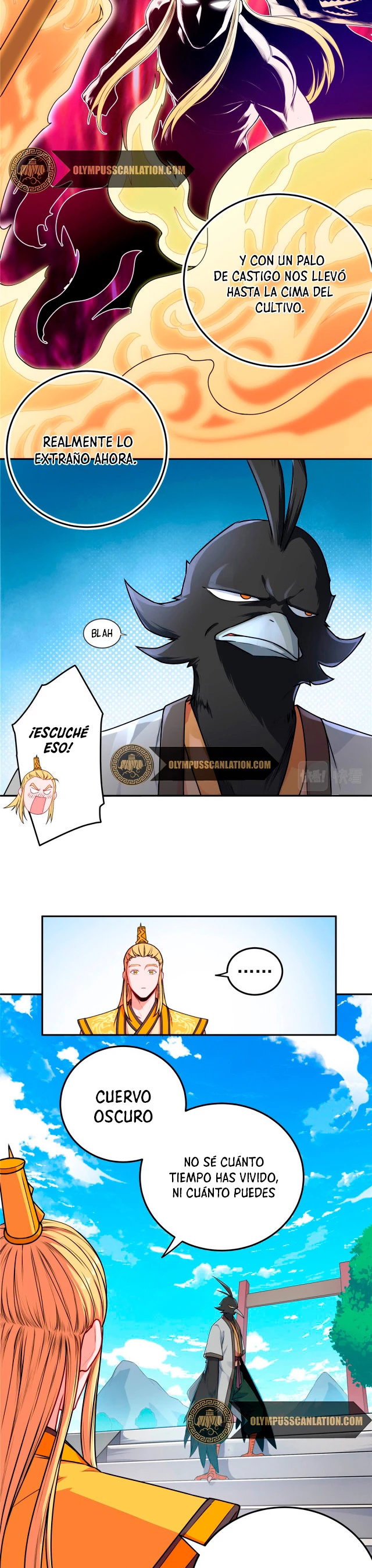 Página 8