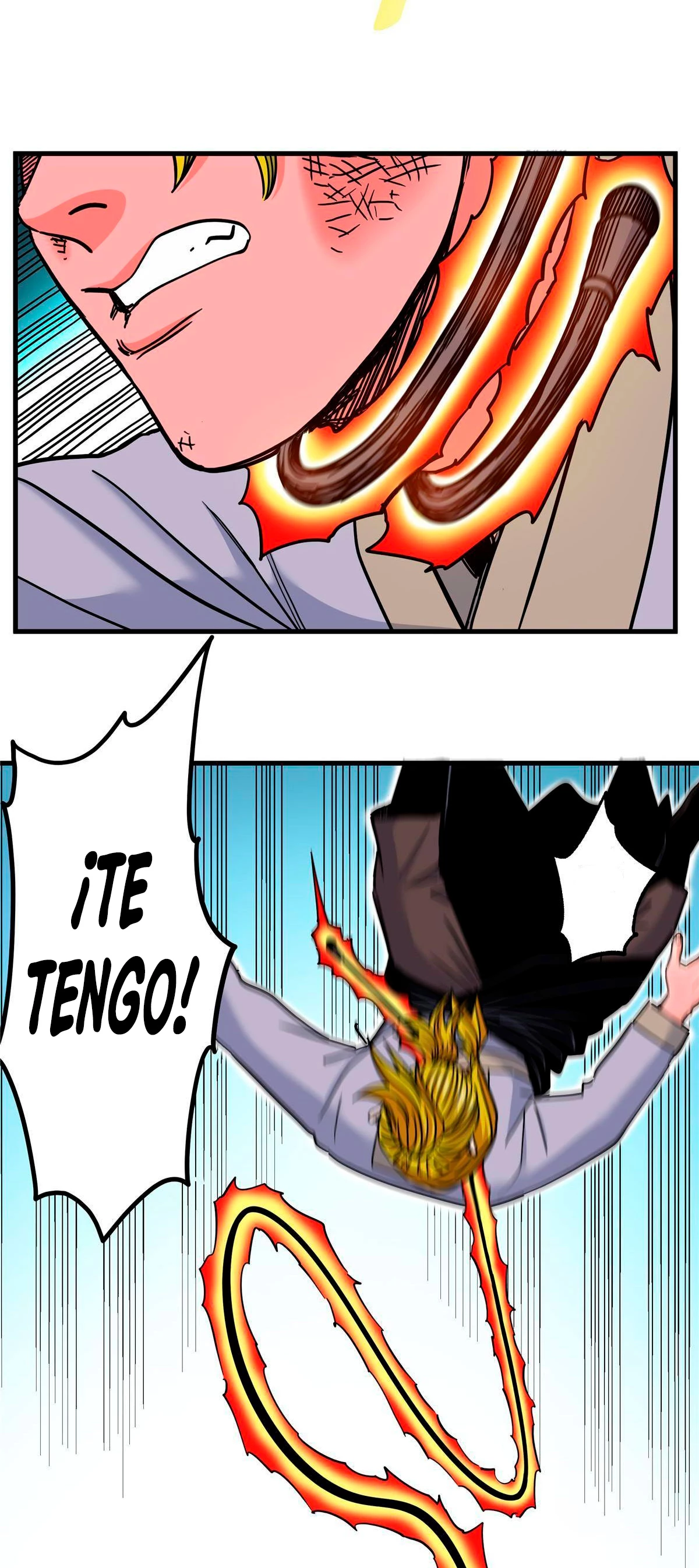 Página 17