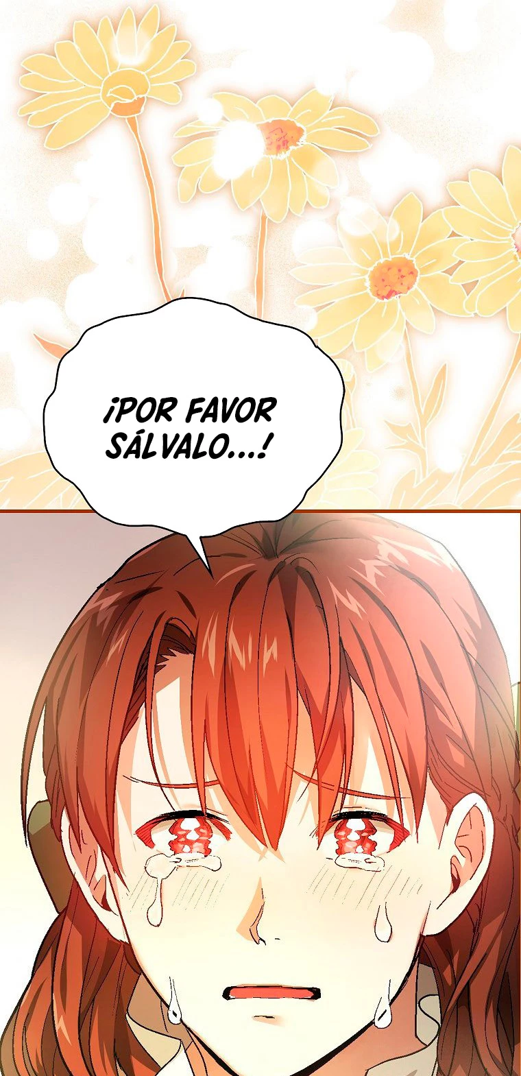 Página 51