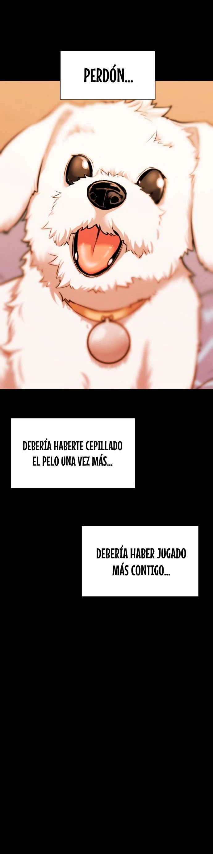 Página 26