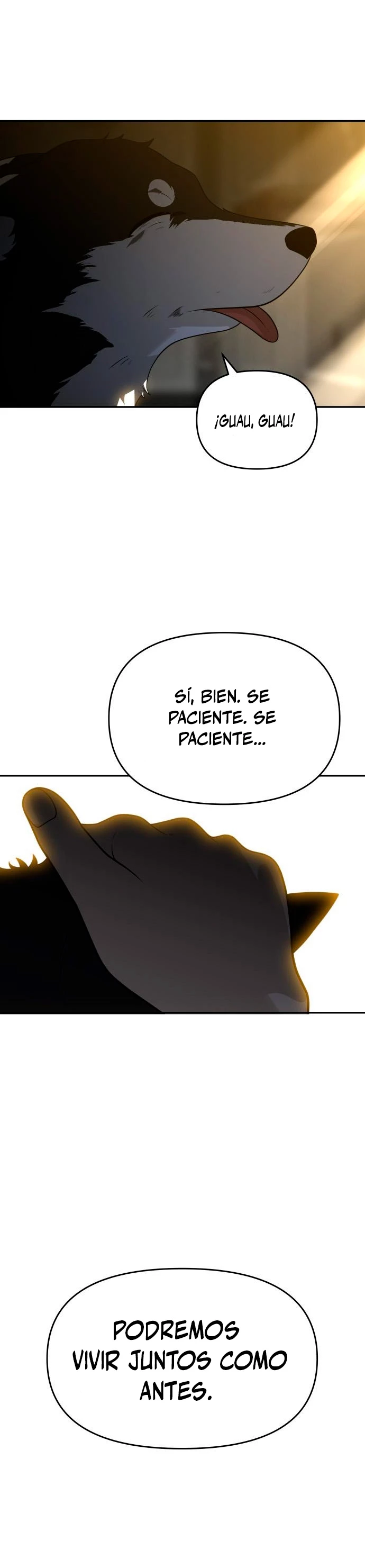 Página 46