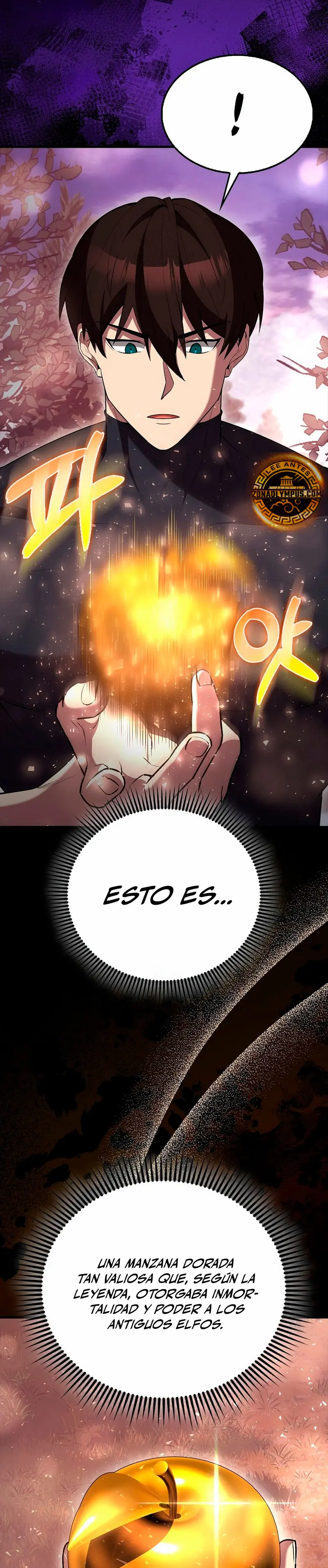 Página 31