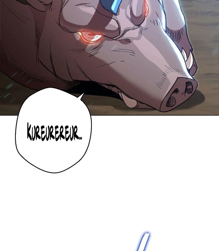 Página 41
