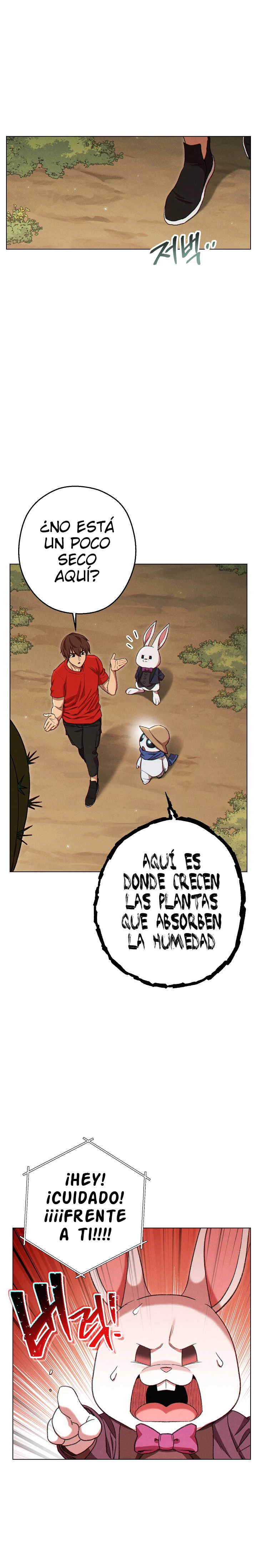 Página 25