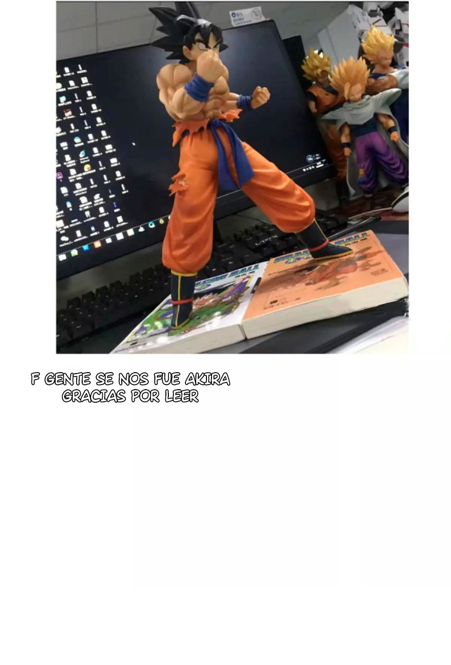 Página 12