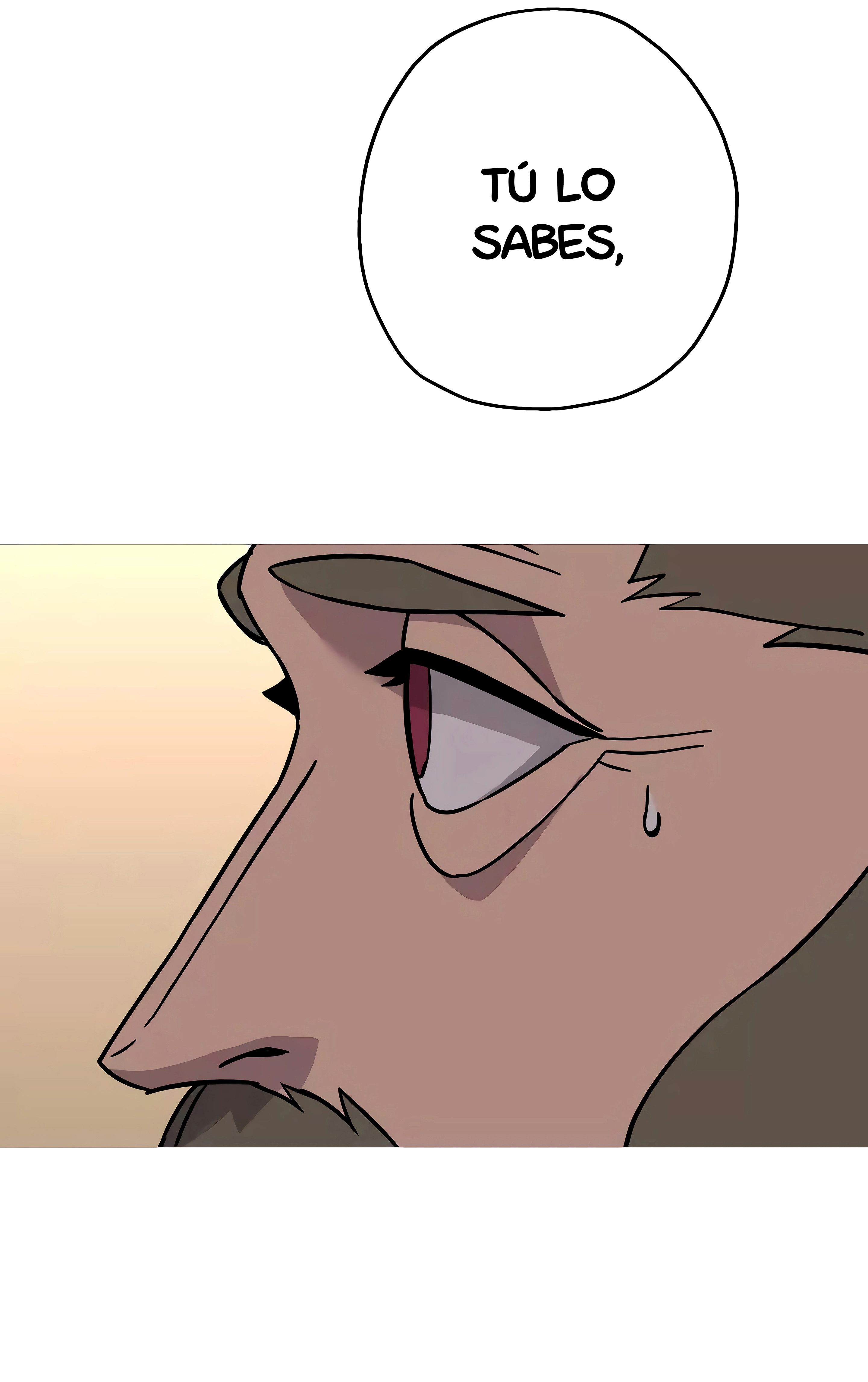 Página 46