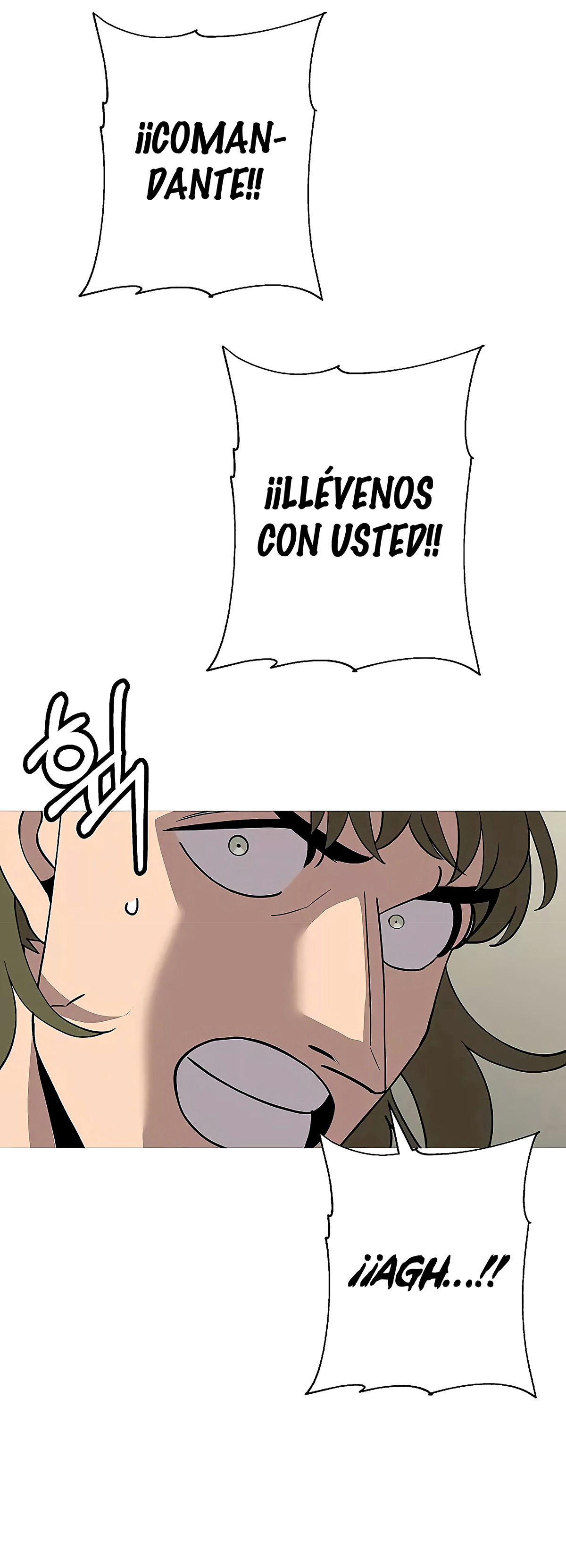 Página 45