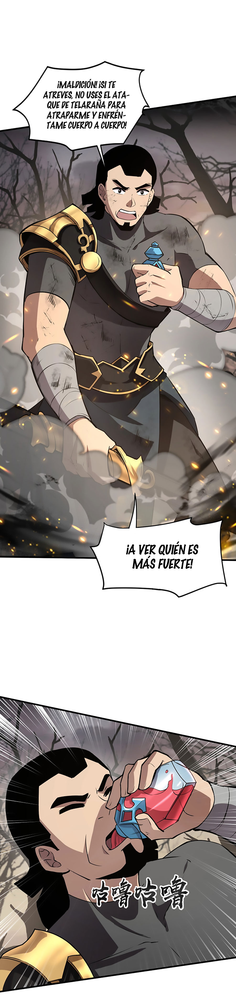 Página 17