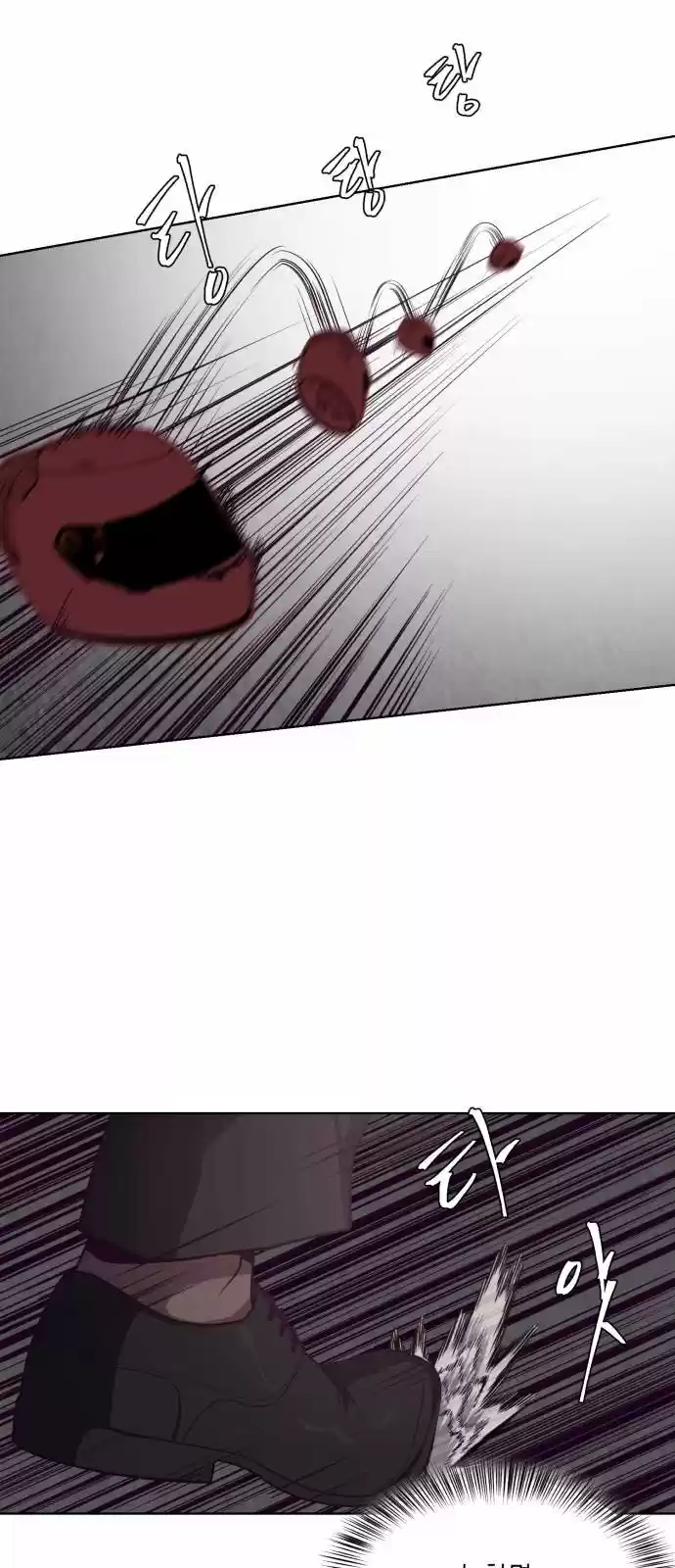 Página 49
