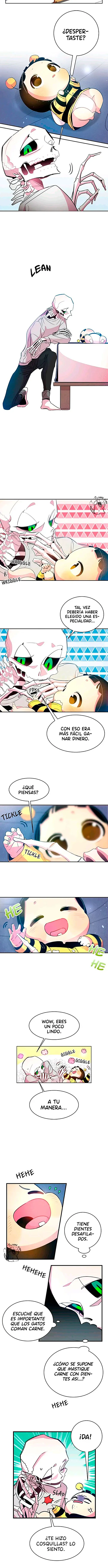 Página 5