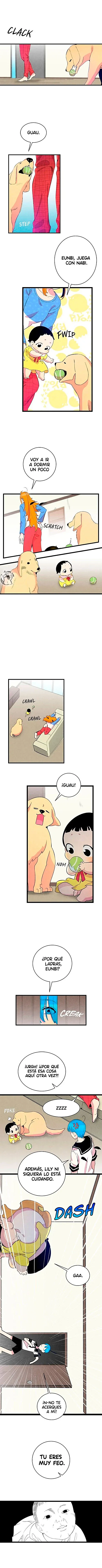 Página 5
