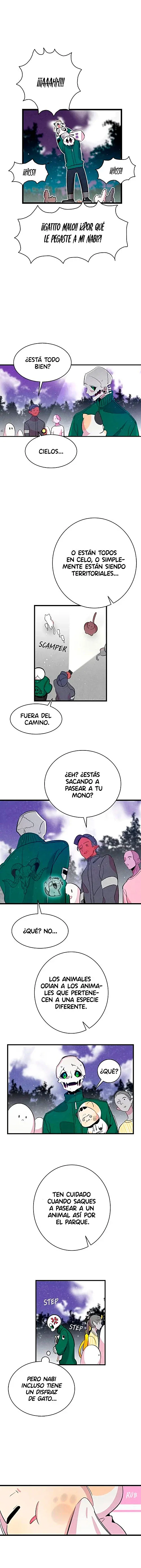 Página 11