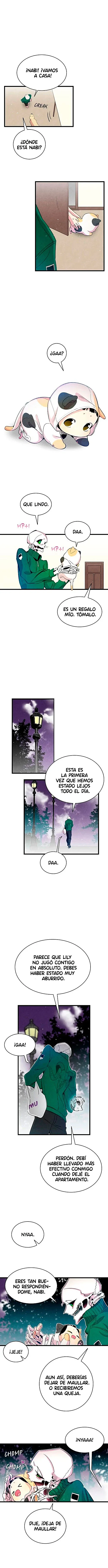 Página 8