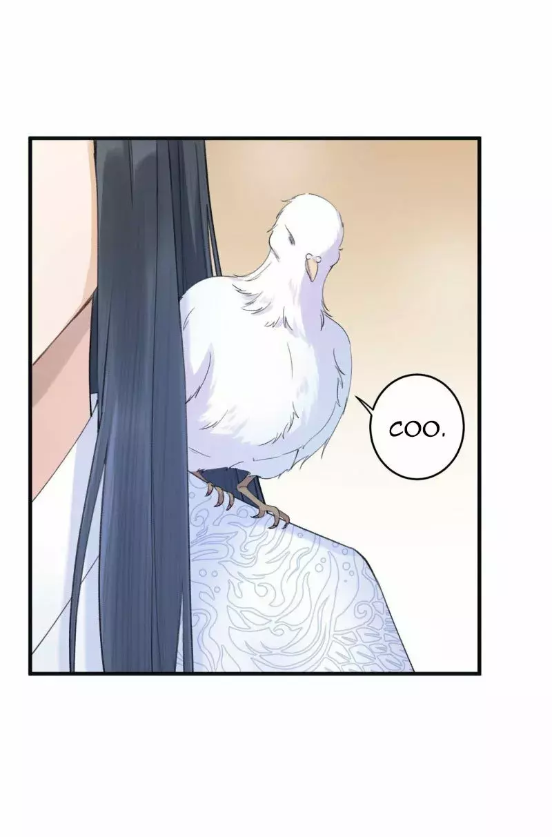 Página 60