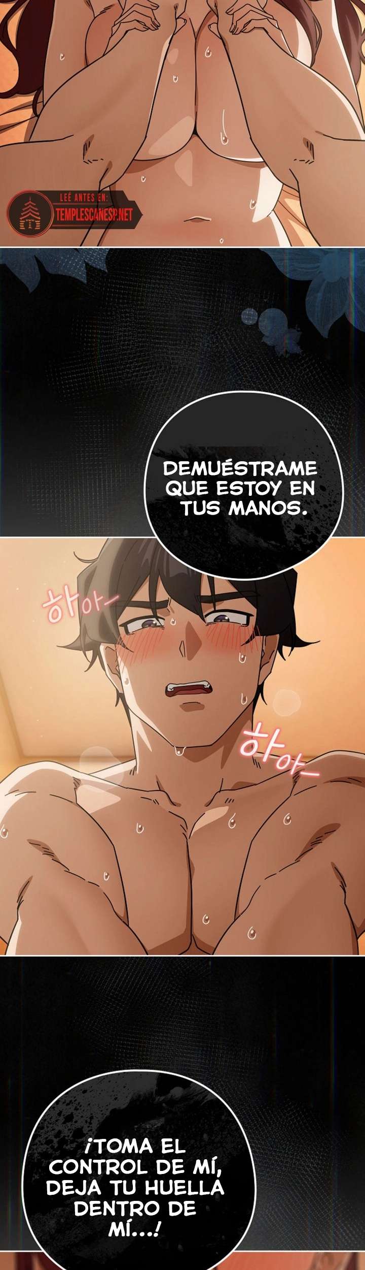 Página 37