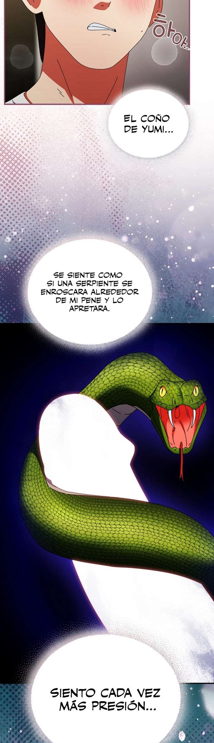 Página 26