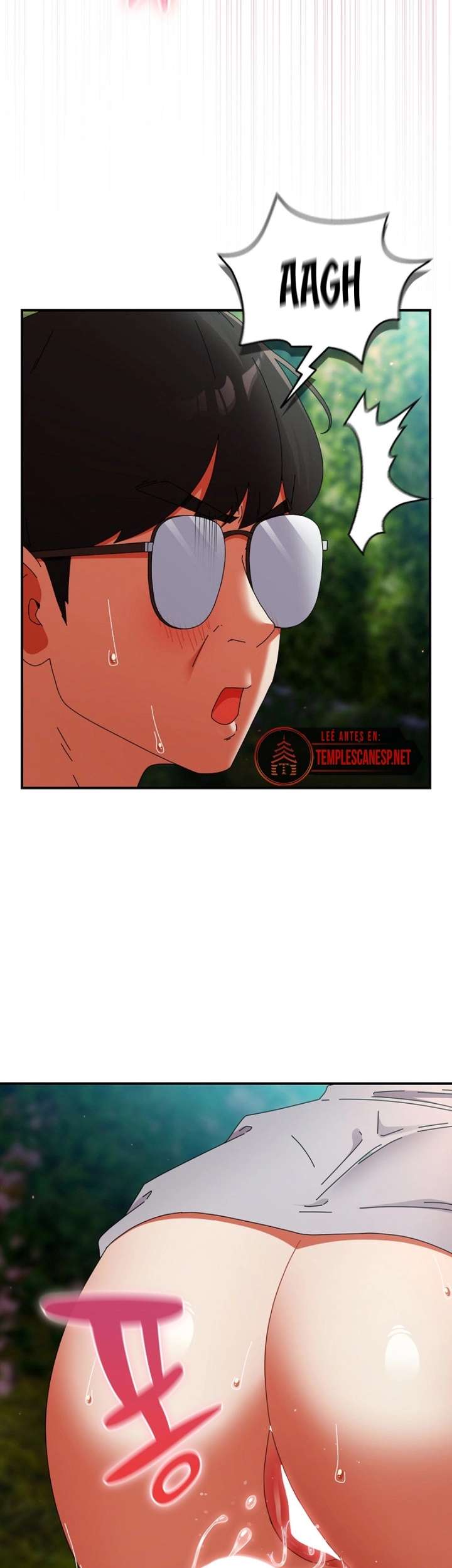 Página 41