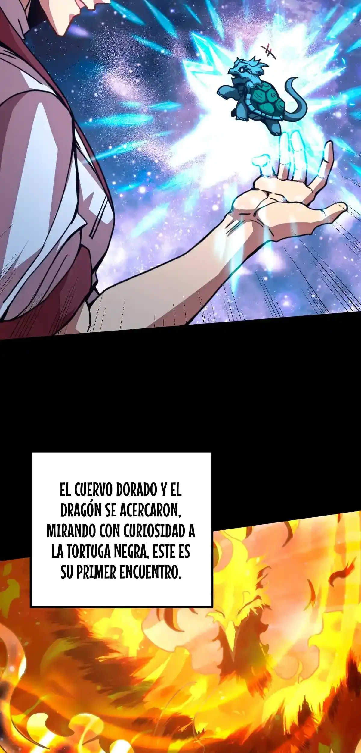 Página 24