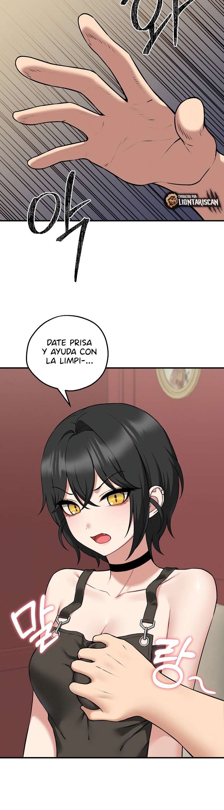 Página 52