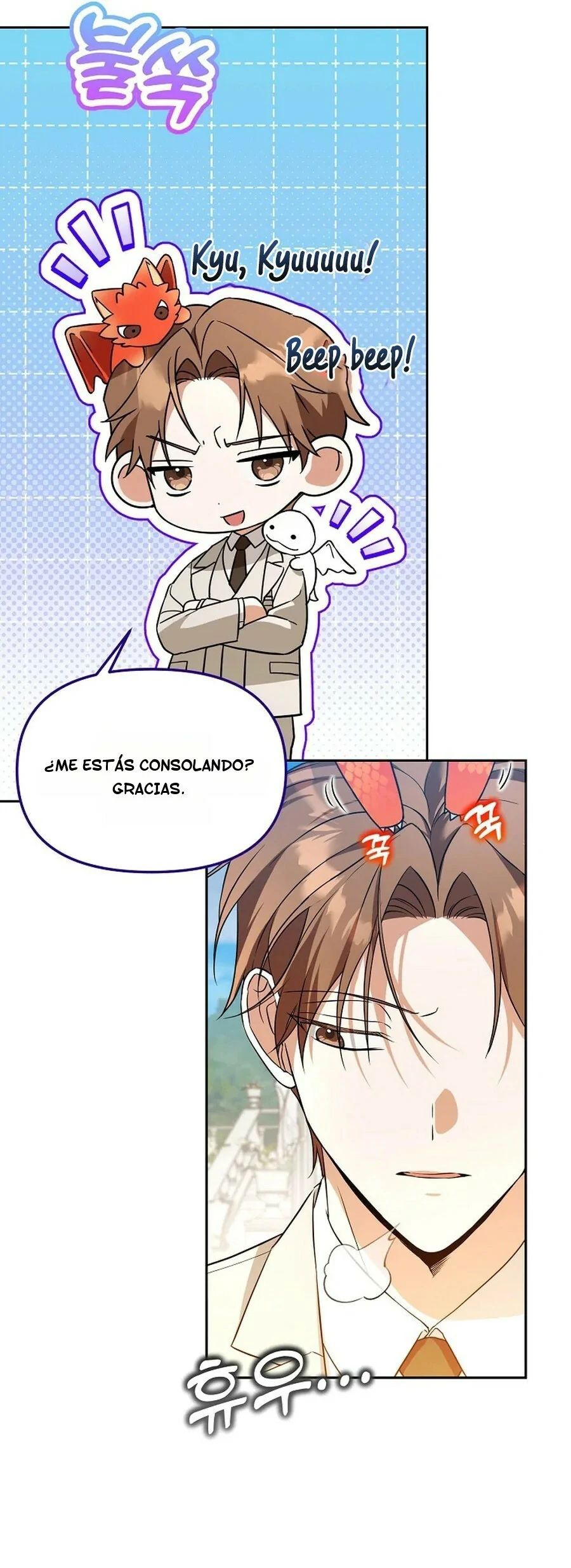 Página 43