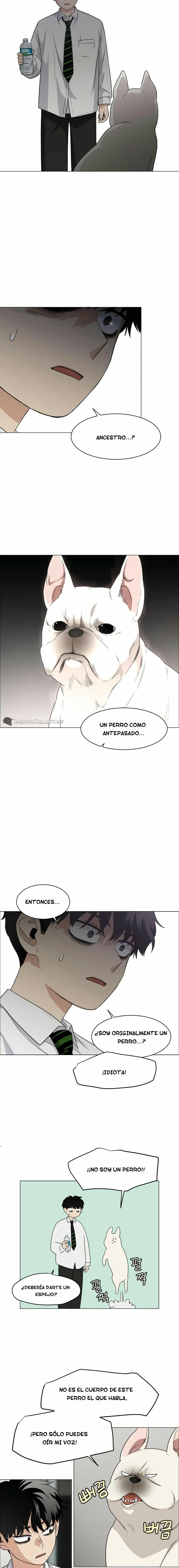 Página 11
