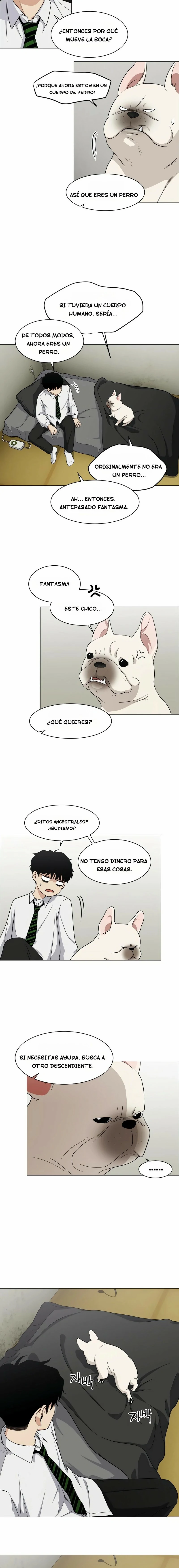 Página 12