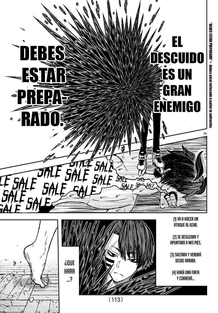 Página 31