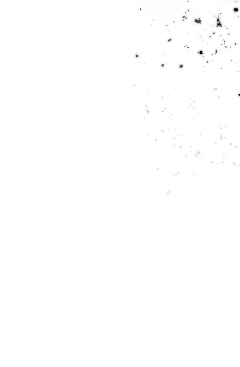 Página 61