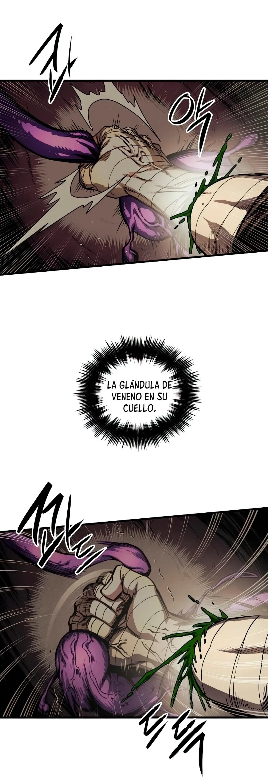 Página 44